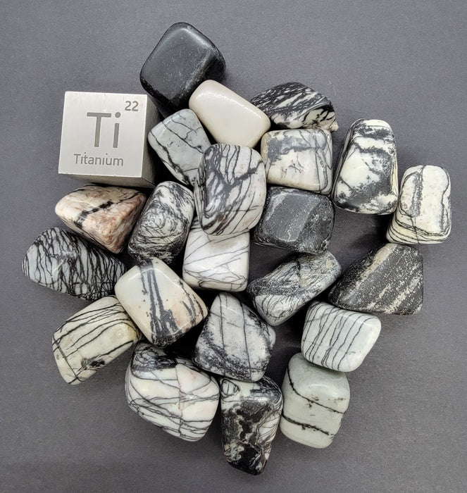 Black Zebra Jasper