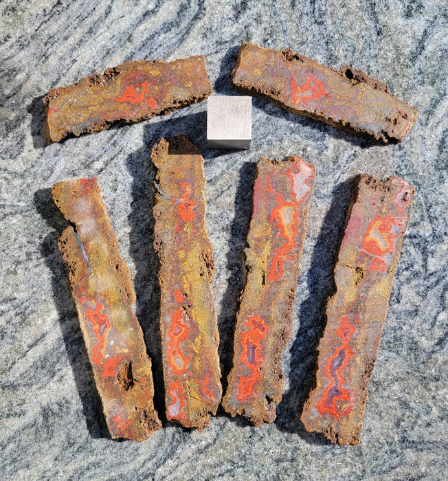 Moroccan Seam Agate | Rough | Lot of 6 | A Cabber's Dream
