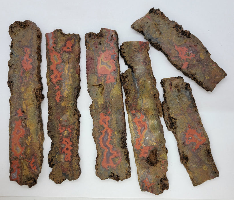 Moroccan Seam Agate | Rough | Lot of 6 | A Cabber's Dream