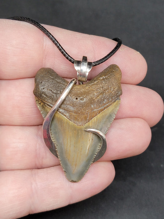 2" Sterling Silver Wrapped Megalodon Tooth Necklace