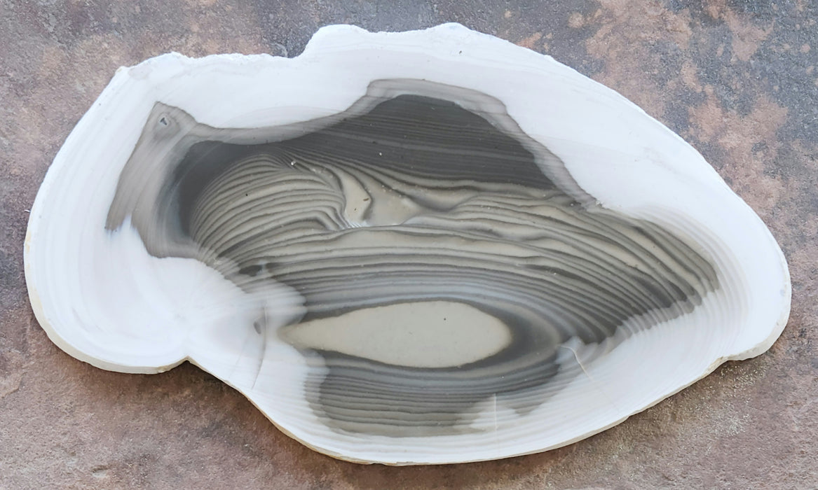 Polished Striped Flint Slab | Poland