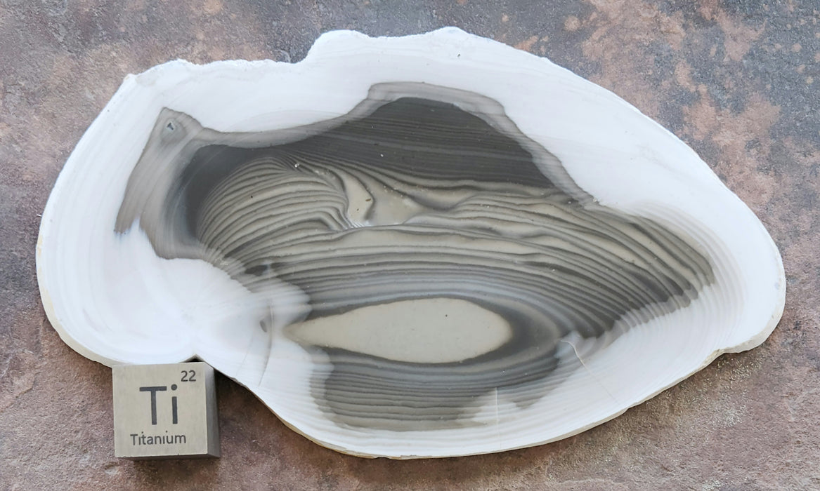 Polished Striped Flint Slab | Poland
