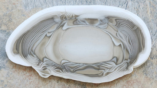 In Stone Fossils