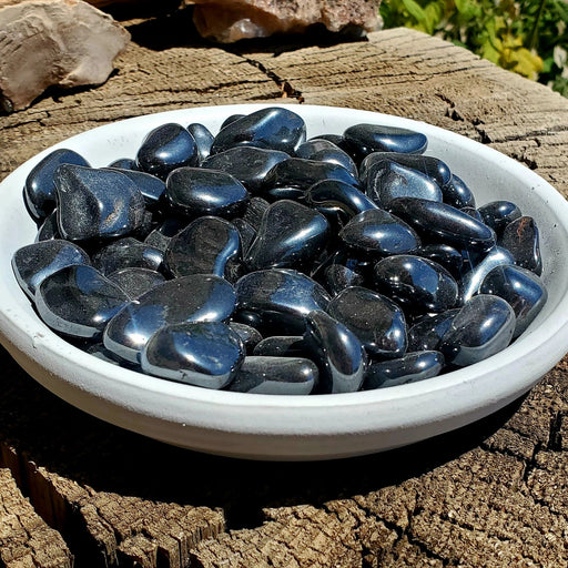 In Stone Fossils