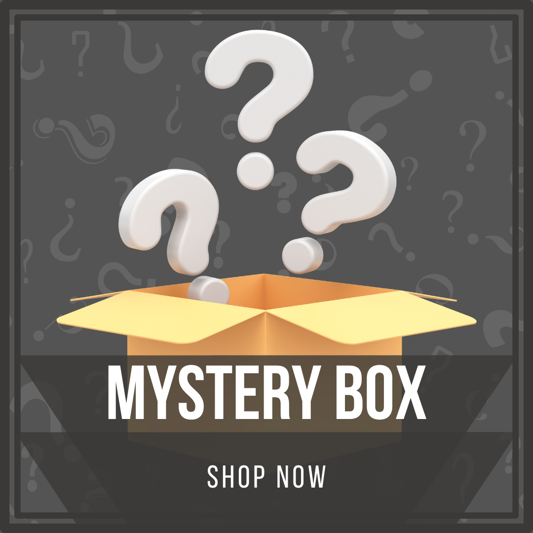 Mystery Box — In Stone Fossils