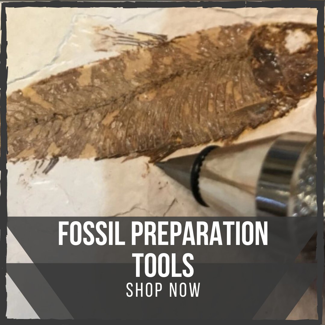 Fossil Preparation Tools