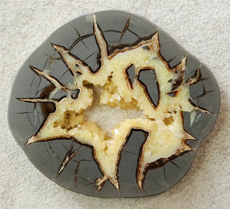 Septarian Nodule Slice
