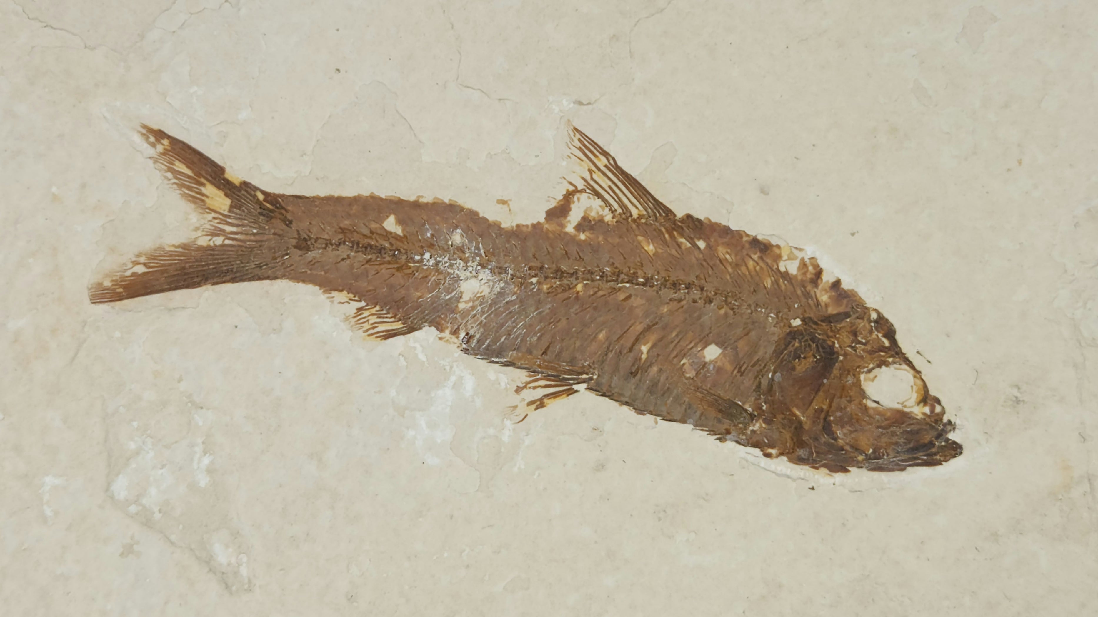 3.5