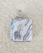 In Stone Fossils 