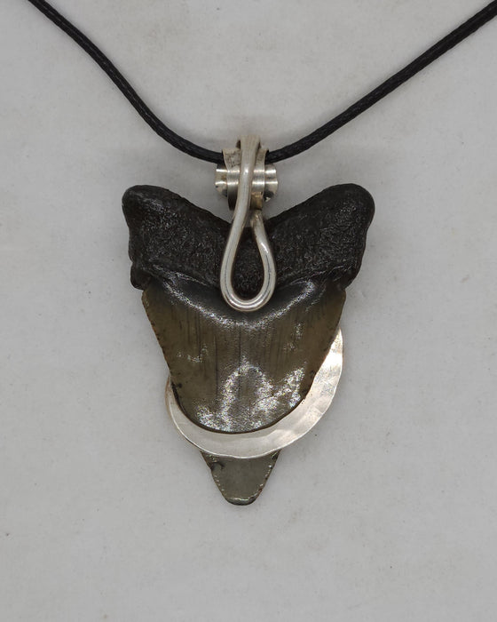 2" Sterling Silver Wrapped Megalodon Tooth Necklace