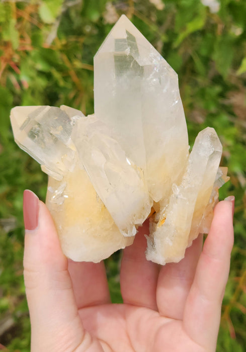 Quartz Crystal Cluster | Pakistan