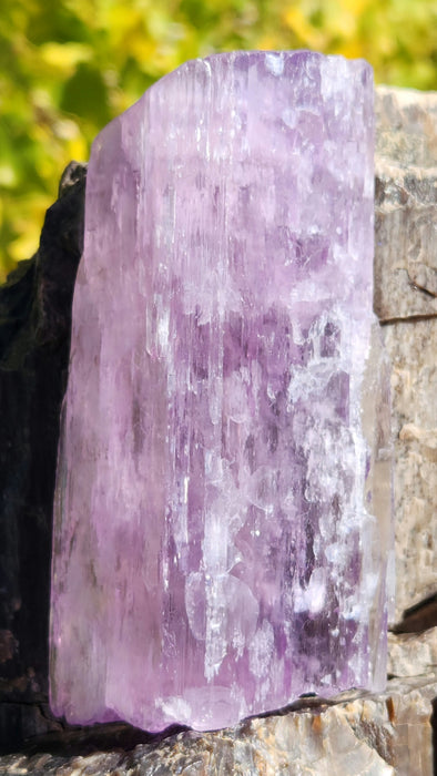 Natural Kunzite Crystal | Kunar Valley, Afghanistan