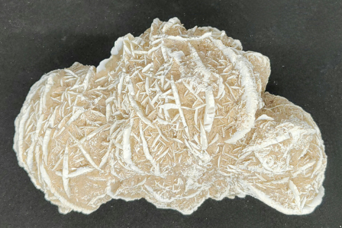 Desert Rose Cluster — In Stone Fossils