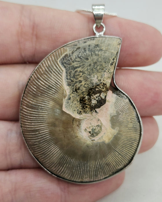 Split Ammonite Necklace