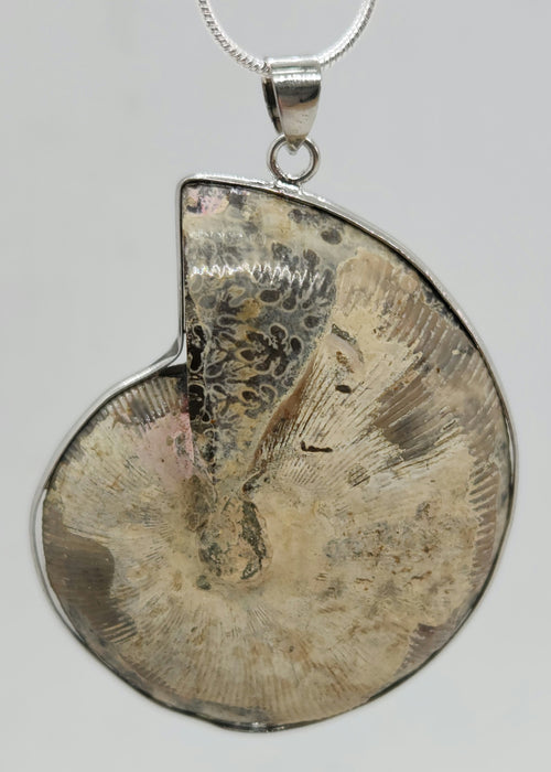 Split Ammonite Necklace