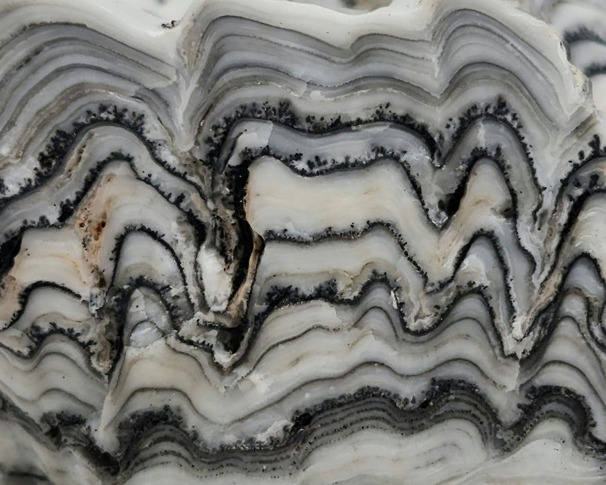 Banded Zebra Calcite | Mexico