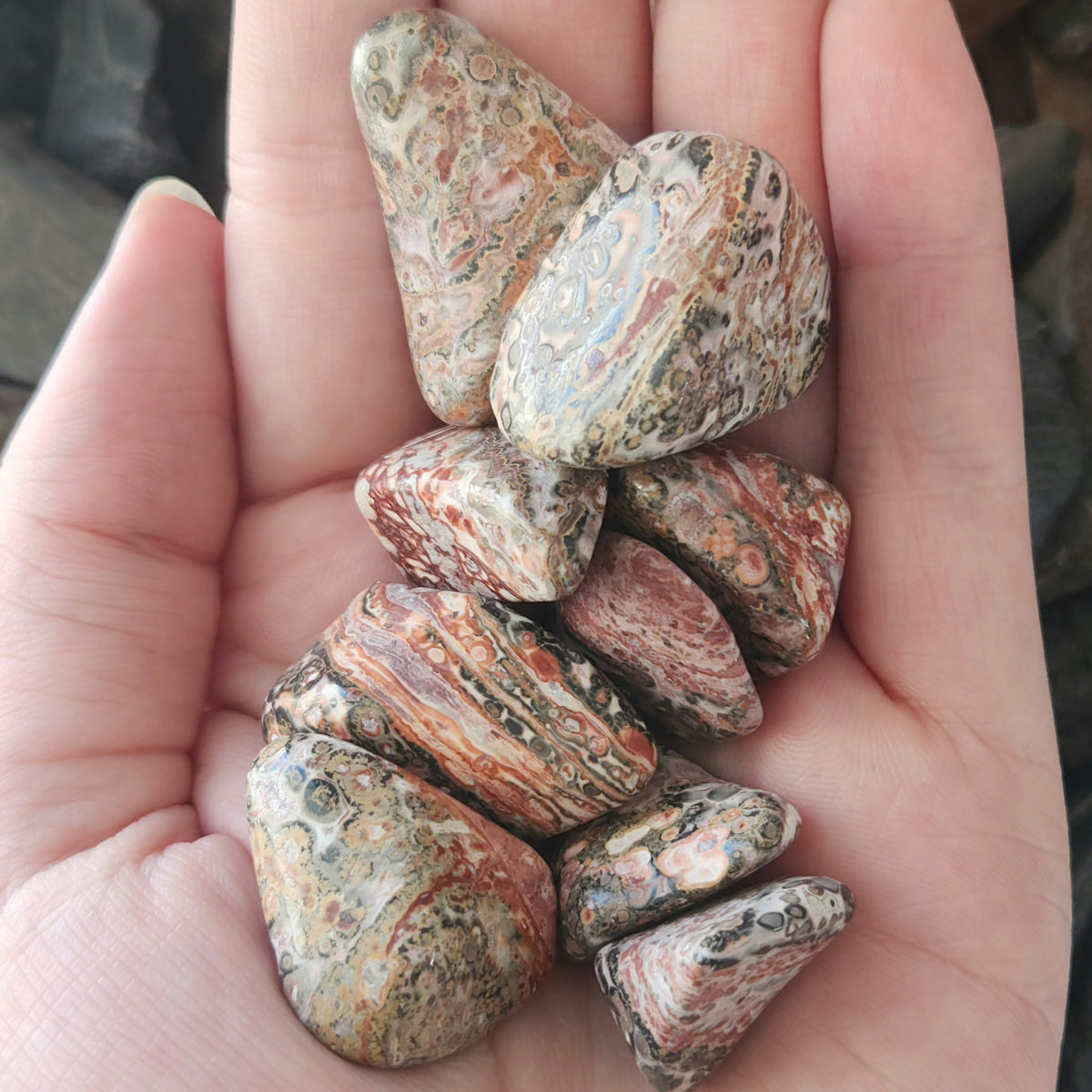 Leopard Skin Jasper 7329918386398