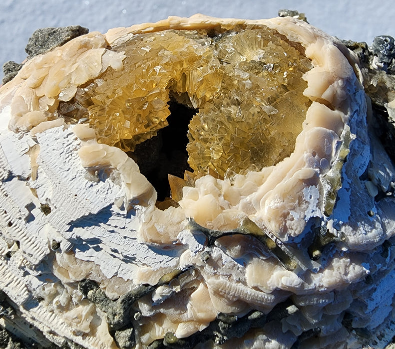 Fossil Clam Shell (Mercenaria permagna) with Honey Calcite Crystals | Okeechobee, FL