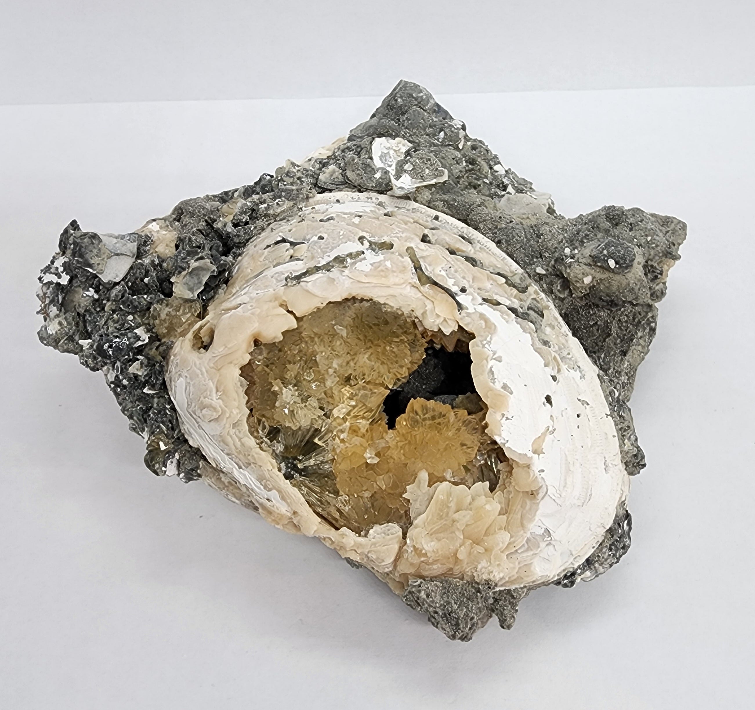 20240210-092504.jpg?v=1707582838