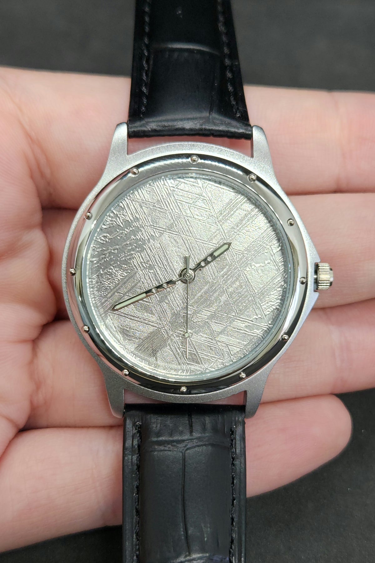 Muonionalusta Meteorite Watch — In Stone Fossils