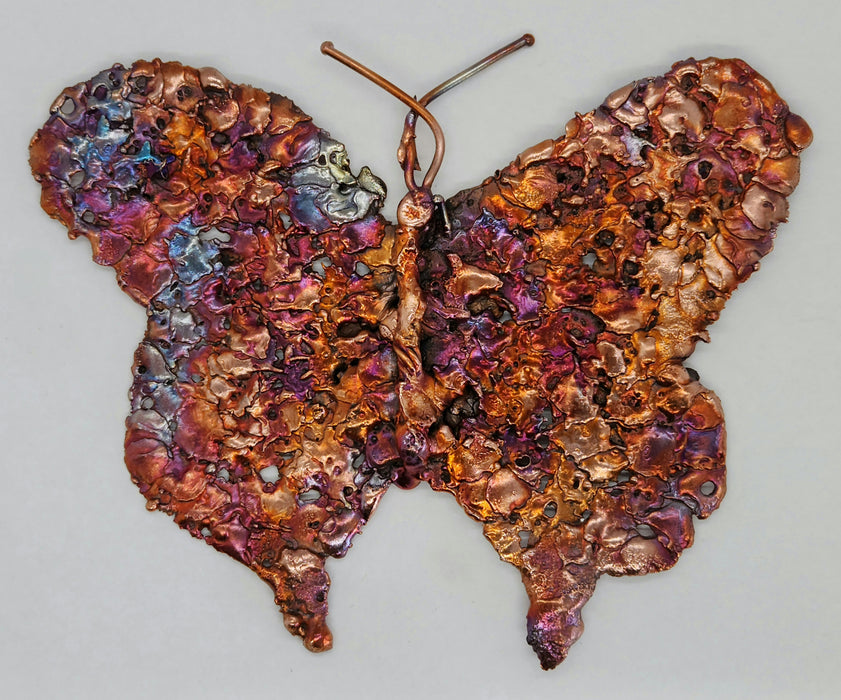 Beautiful Copper Splash Butterfly | Large