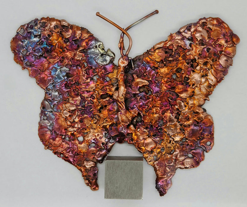 Beautiful Copper Splash Butterfly | Large