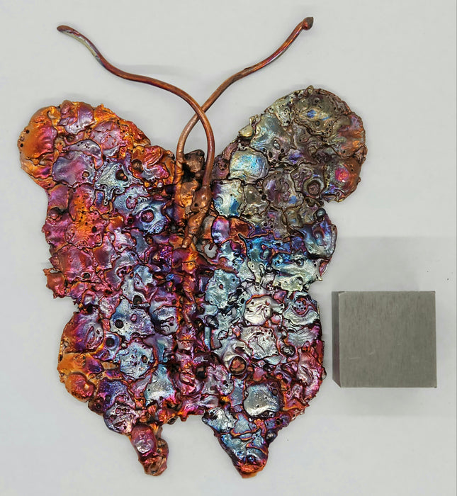Beautiful Copper Splash Butterfly | Small