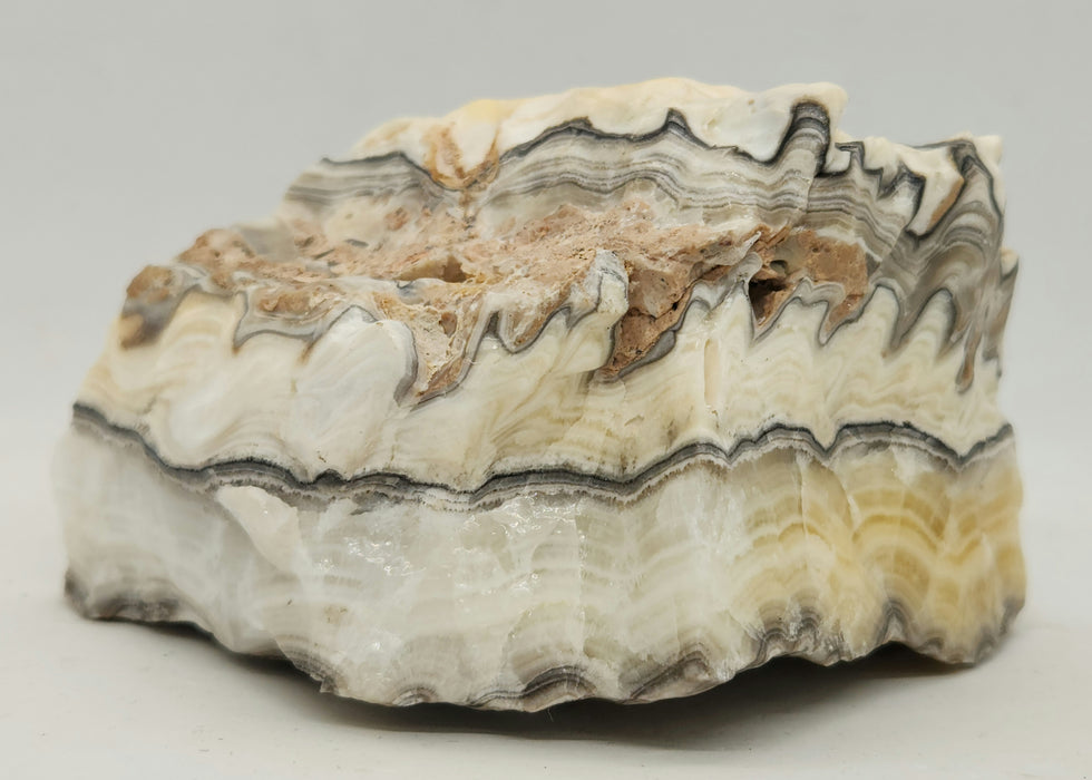 Banded Zebra Calcite | Mexico