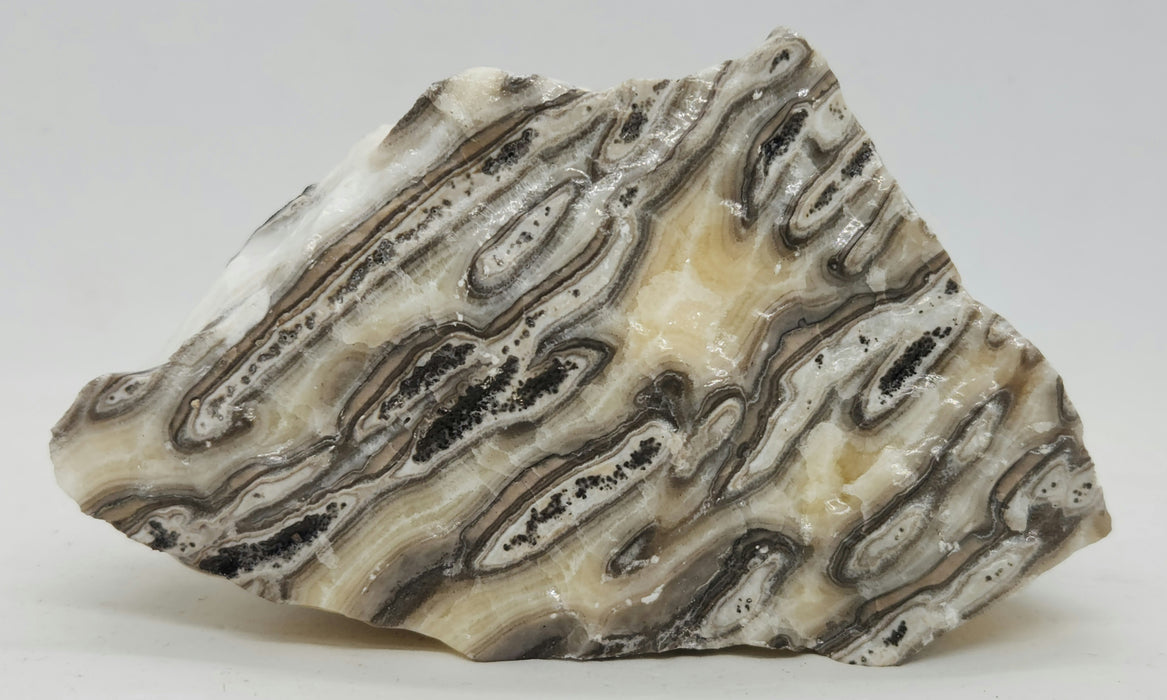 Banded Zebra Calcite | Mexico