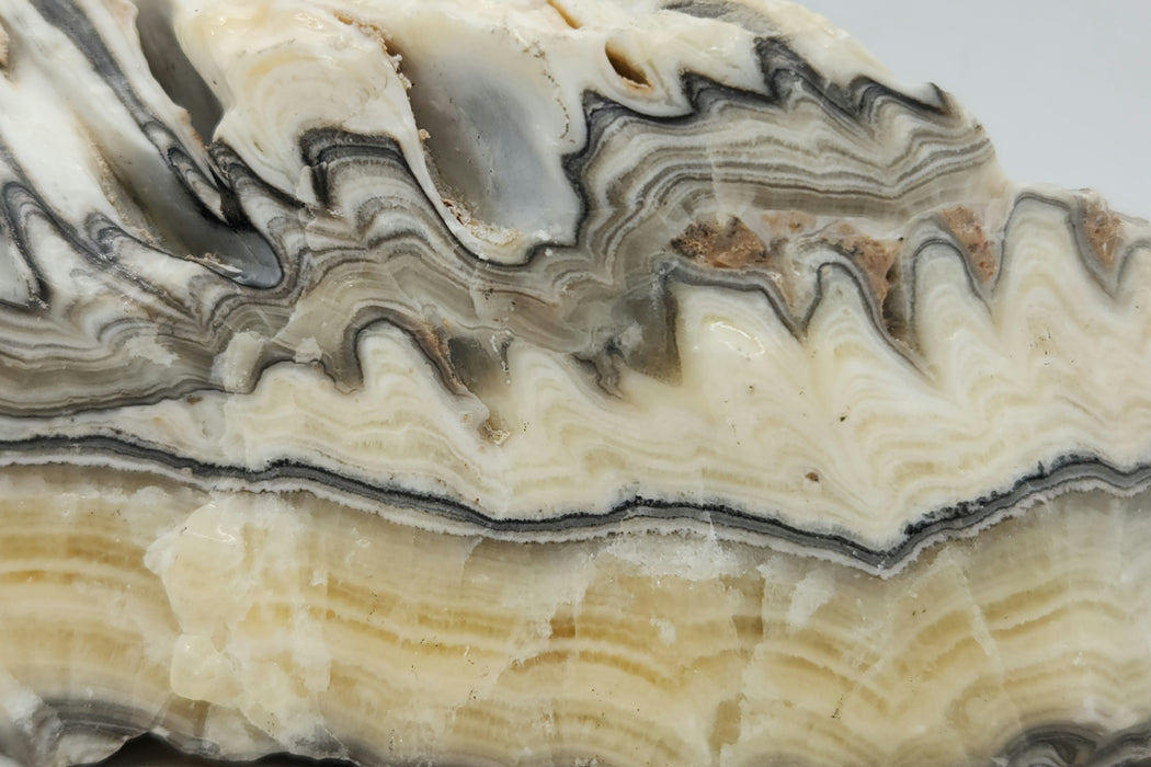 Banded Zebra Calcite | Mexico