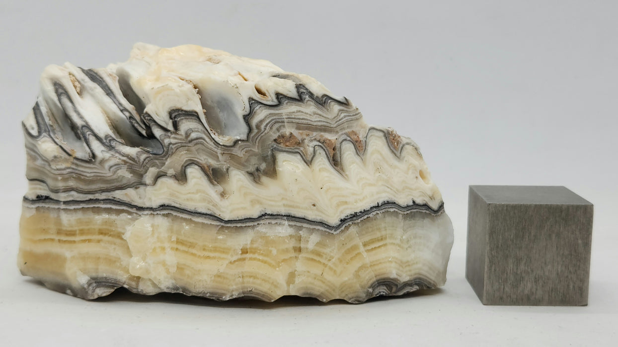 Banded Zebra Calcite | Mexico