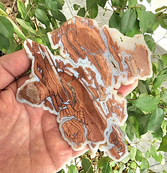 Fluorescent Wyoming Youngite Agate Slice | Guernsey, Wyoming