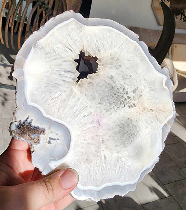 Polished Agate Slice