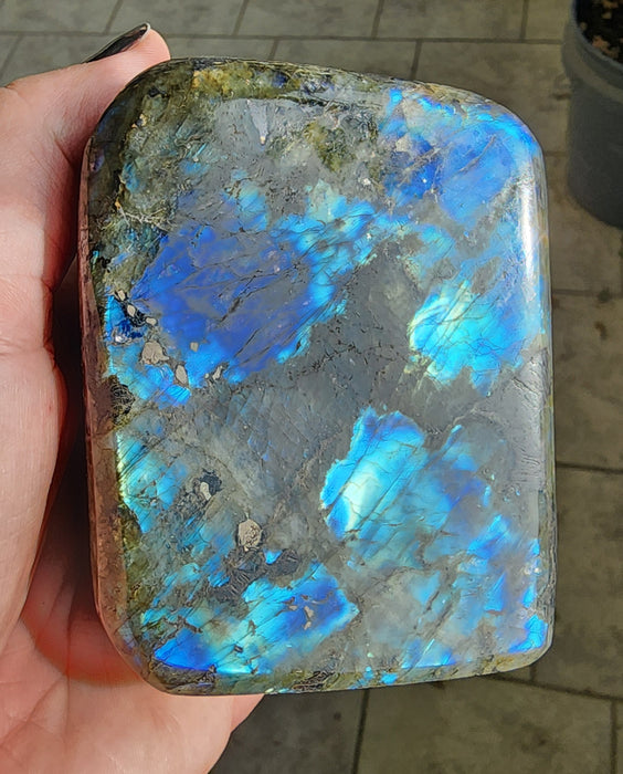 Labradorite Free Form | Madagascar