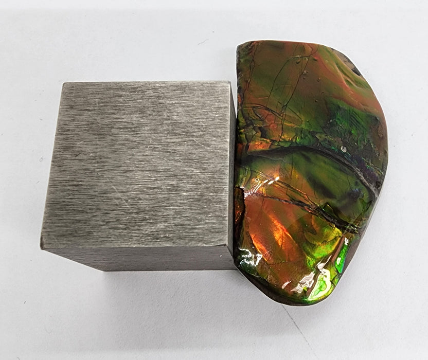 Ammolite Free Form Gem Specimen | Canada