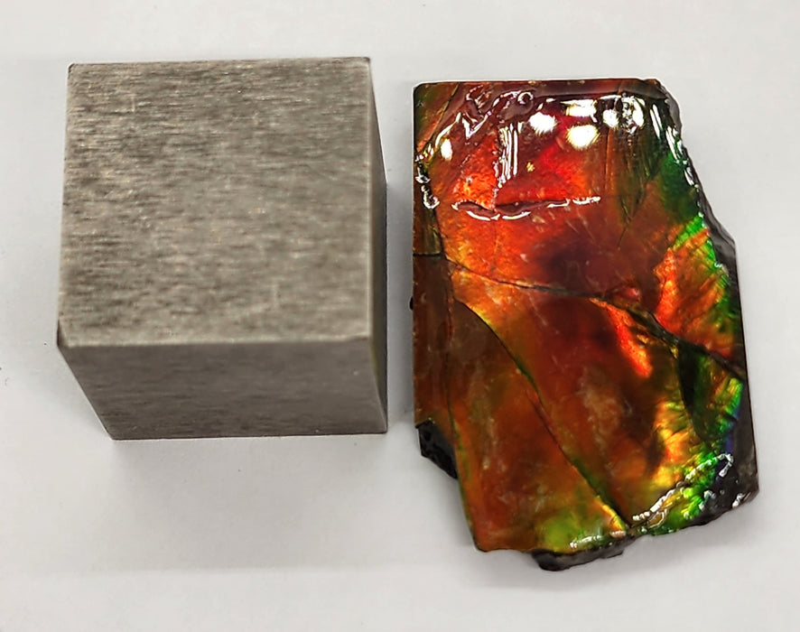 Ammolite Free Form Gem Specimen | Canada