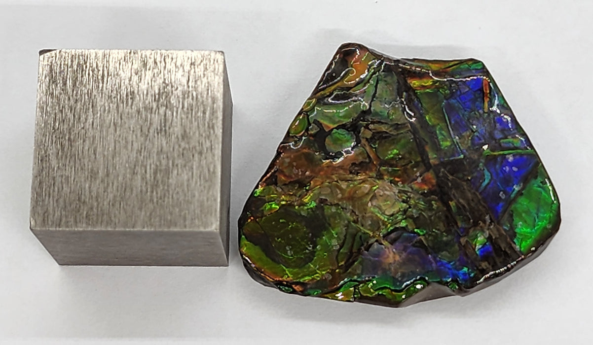 Ammolite Free Form Gem Specimen | Canada