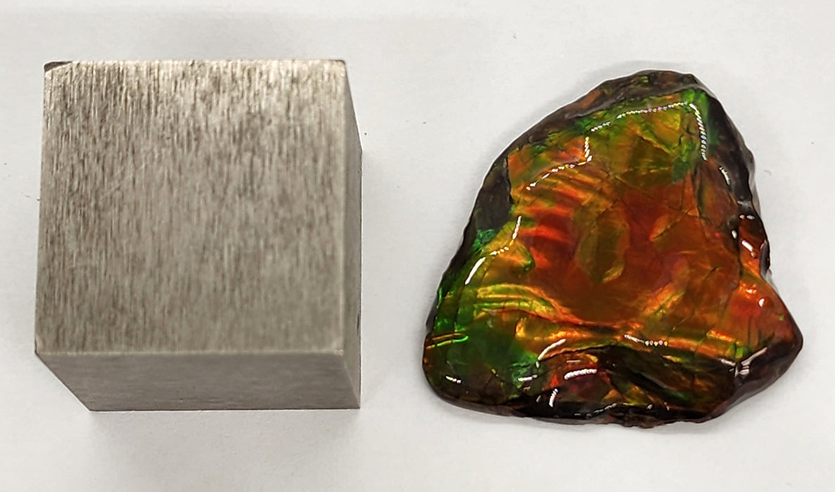 Ammolite Free Form Gem Specimen | Canada