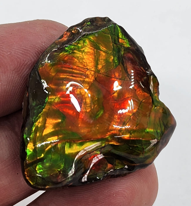 Ammolite Free Form Gem Specimen | Canada