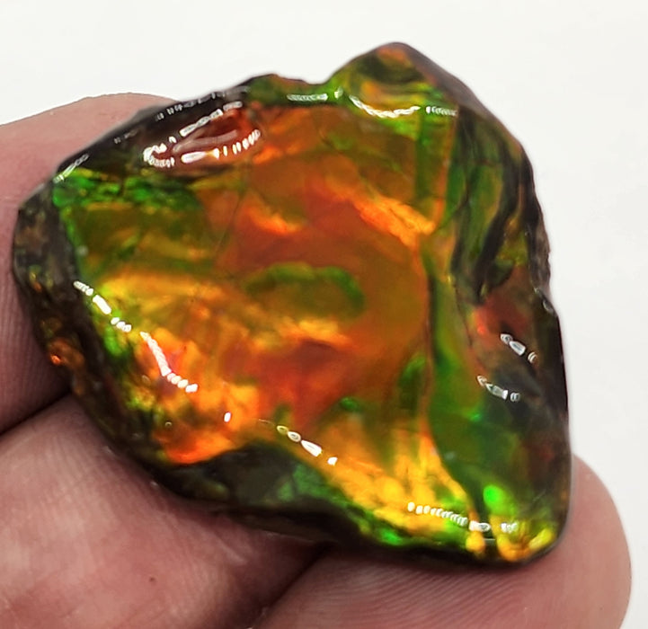 Ammolite Free Form Gem Specimen | Canada