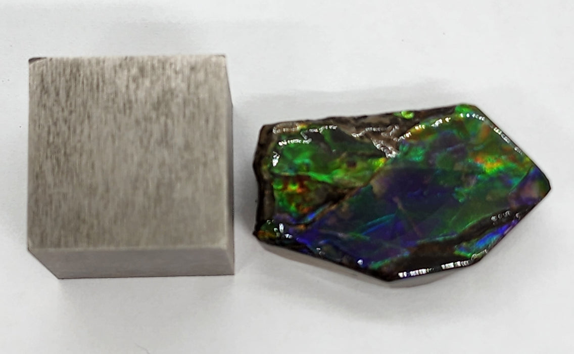 Ammolite Free Form Gem Specimen | Canada