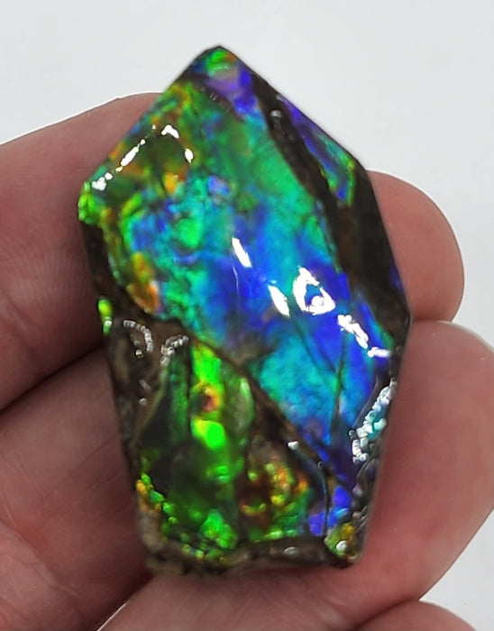 Ammolite Free Form Gem Specimen | Canada