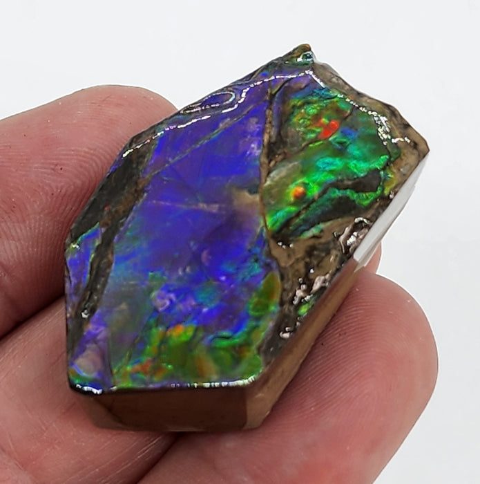 Ammolite Free Form Gem Specimen | Canada