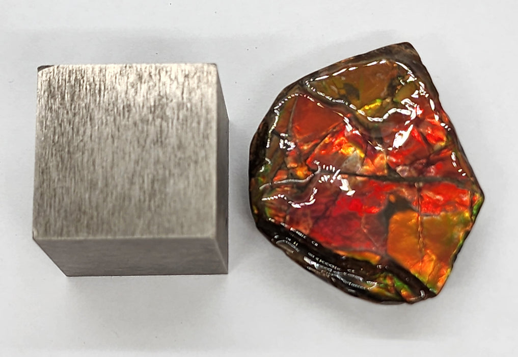 Ammolite Free Form Gem Specimen | Canada