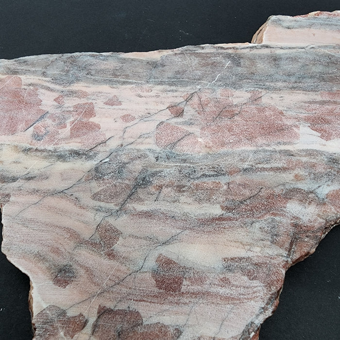 Pink Stromatolite Algae Fossil Polished Slab (unpolished)| Kona Hills Michigan