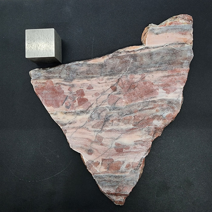 Pink Stromatolite Algae Fossil Polished Slab (unpolished)| Kona Hills Michigan