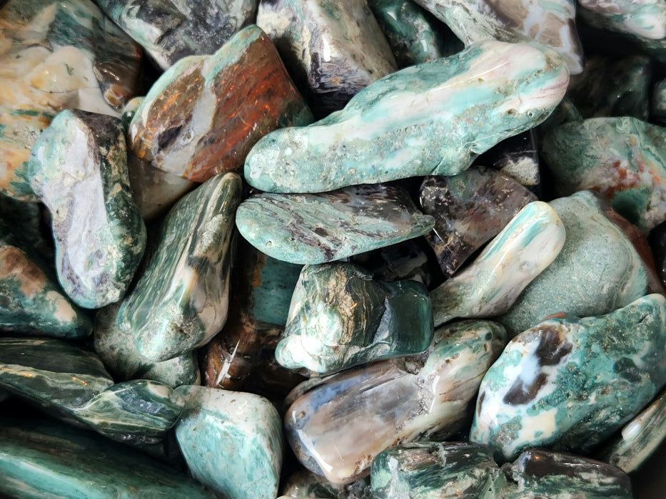 Opalized Wood Tumbled | Wyoming