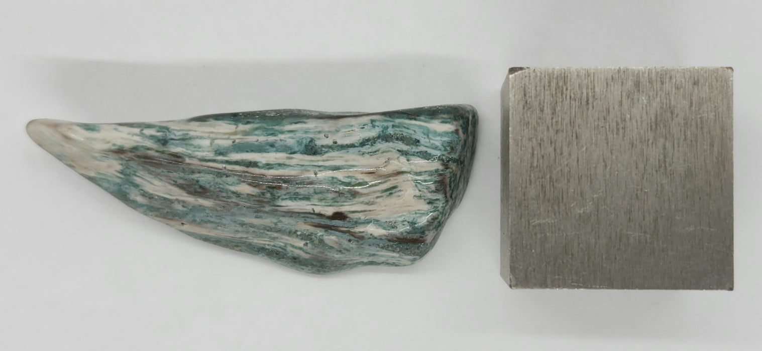 Opalized Wood | Wyoming