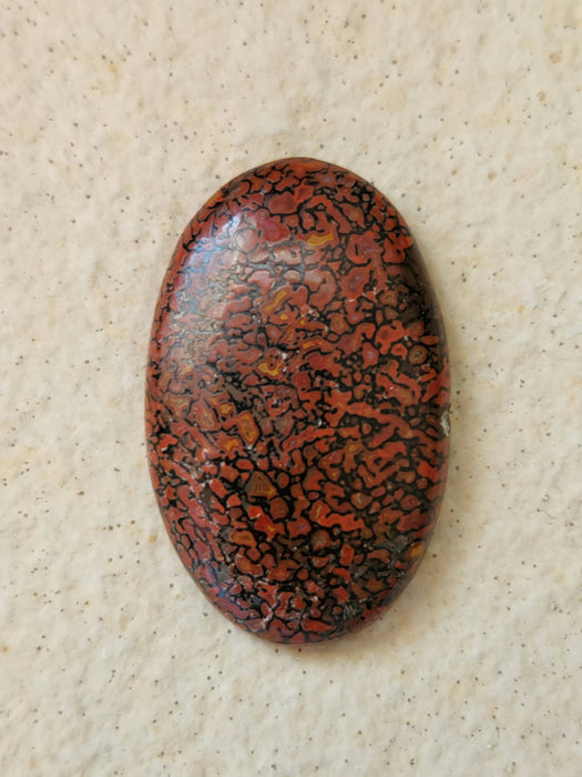 Dinosaur Gembone Cabochon | Utah