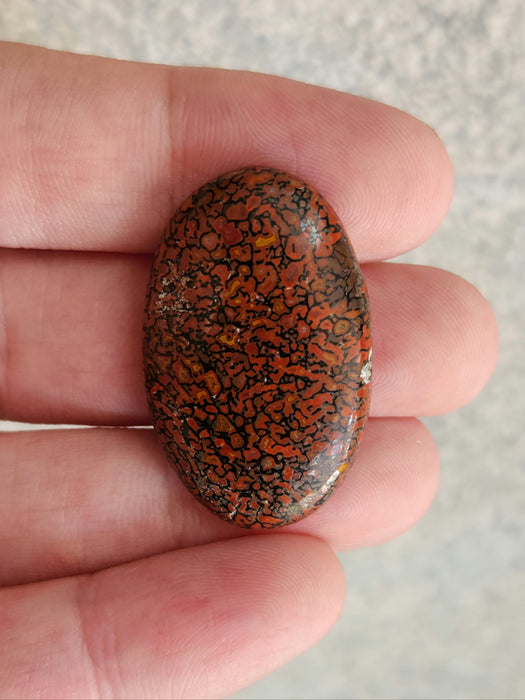 Dinosaur Gembone Cabochon | Utah